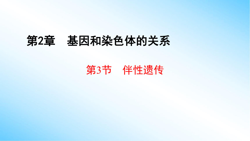 【课件版学案】2-3 伴性遗传 人教版2019必修2(共77张PPT)