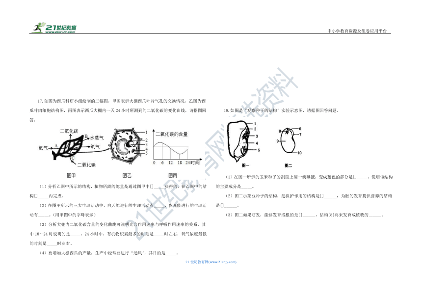 人教版七年级生物 上册 第三单元 生物圈中的绿色植物 单元测试 C卷（含解析）