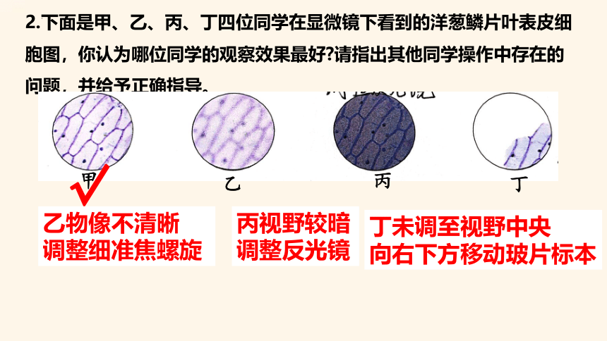 1.2.1.2 细胞的结构课件2022-2023学年冀少版生物七年级上册（共27张PPT）