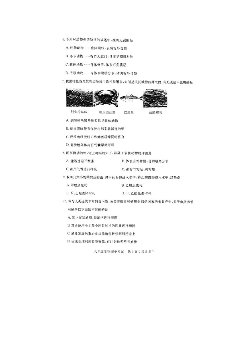 广东省茂名市电白区2022-2023学年八年级上学期生物期中考试（图片版 含答案）