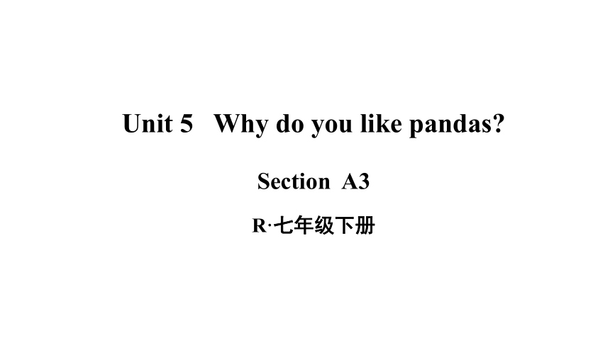 人教版七年级英语下册Unit 5 Why do you like pandas? Section A (grammar-3c)课件(共36张PPT)