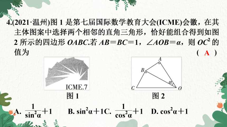 北师大版数学九年级下册 第一章 直角三角形的边角关系 课件(共16张PPT)