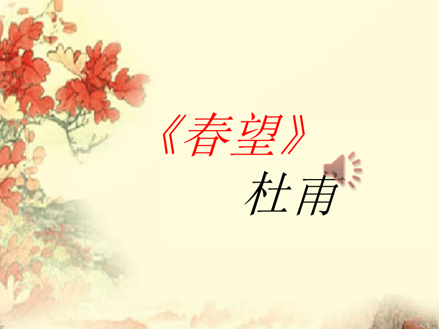 25《诗词五首—春望》课件（共19张PPT）