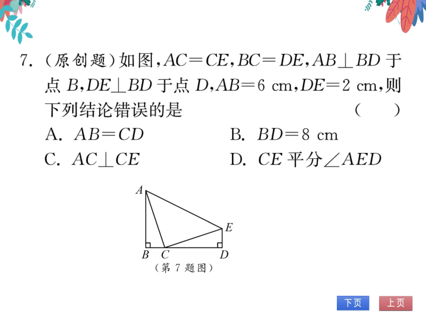 12.2第4课时用“HL”证两个直角三角形全等　习题课件