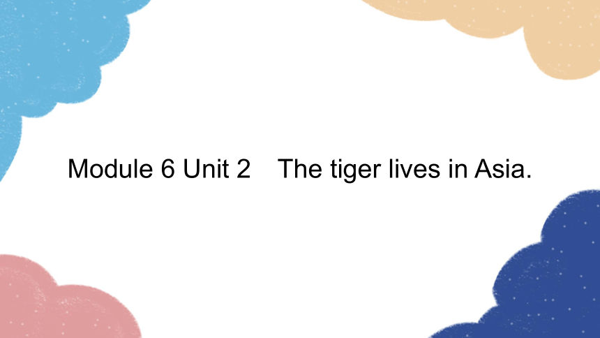 外研版七年级上册 Module 6 Unit 2 The tiger lives in Asia. 习题课件 (共37张PPT)