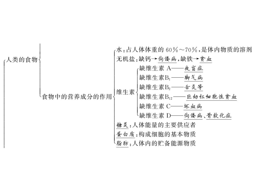 2020-2021学年北师大版七年级生物下册第8章 人的由来 单元复习 习题课件（15张PPT）