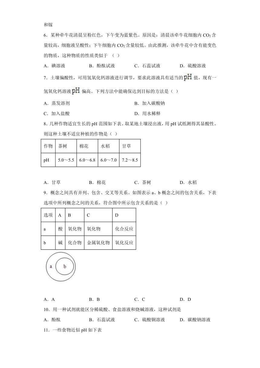 第2章 酸与碱 章节训练（含解析）