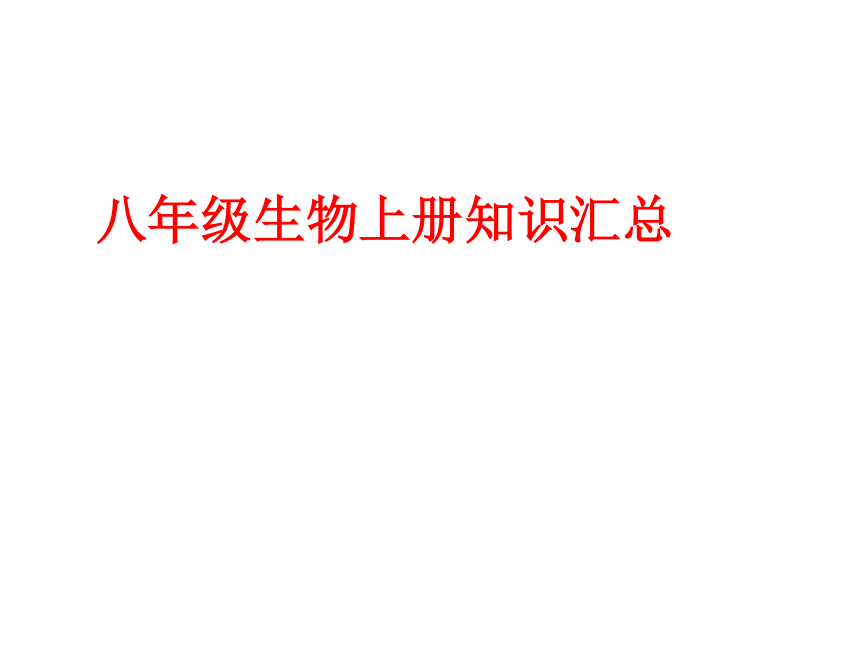 人教版八年级上册生物全册知识汇总课件(131张PPT)