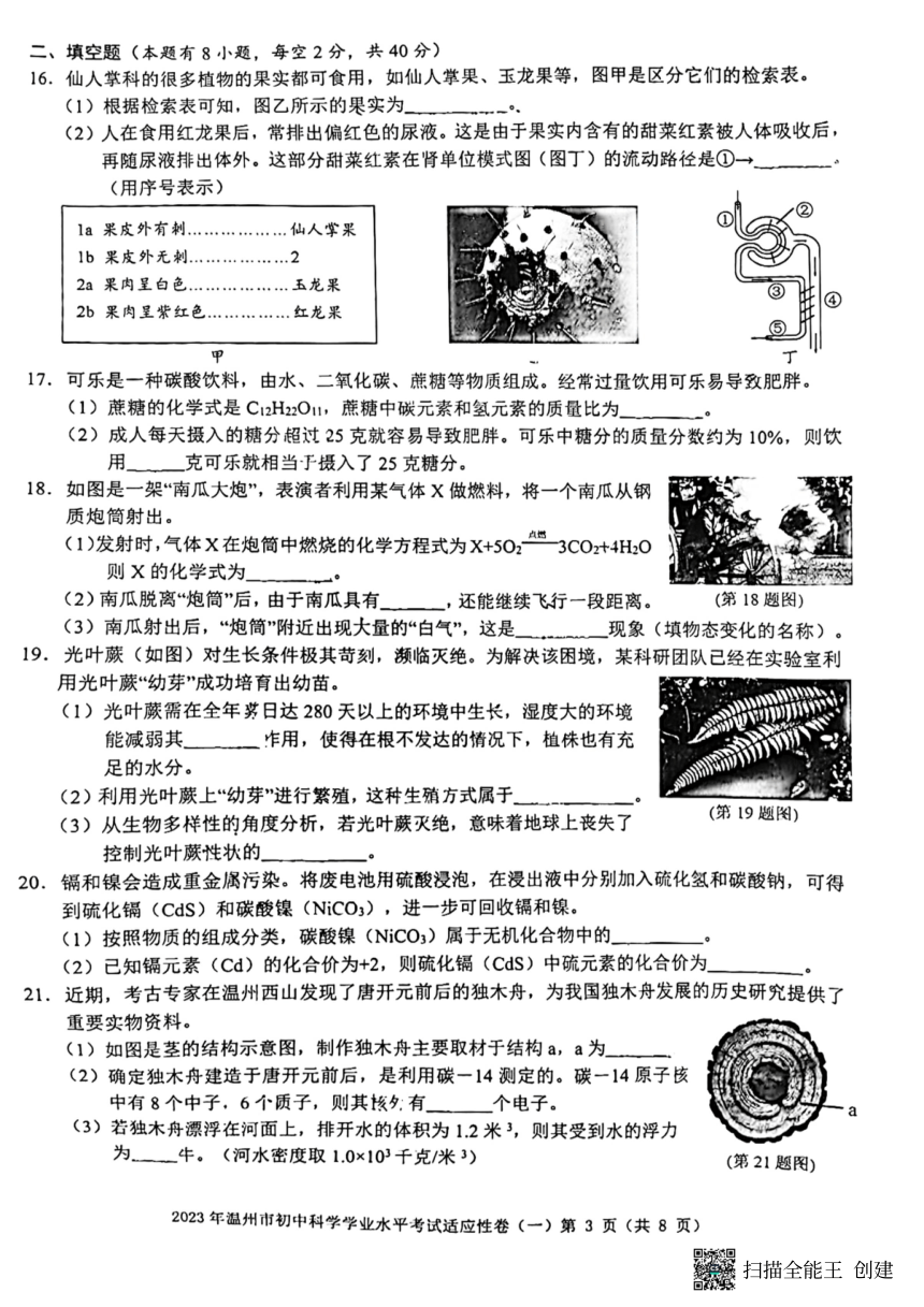 浙江省温州市2023年初中科学学业水平考试适应性卷（一）（PDF版 无答案）