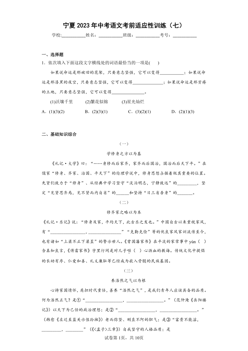宁夏2023年中考语文考前适应性训练（七）（含答案）