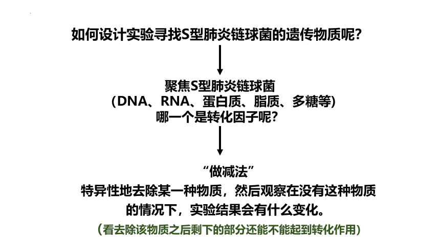 3.1DNA是主要的遗传物质（课件）(共27张PPT)-人教版（2019）必修2