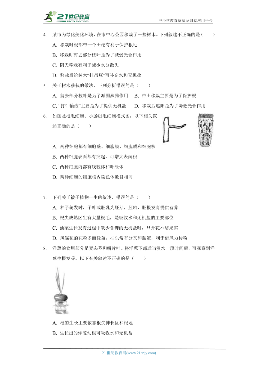 苏教版初中生物七年级上册5.2植物根的生长同步练习（含答案解析）