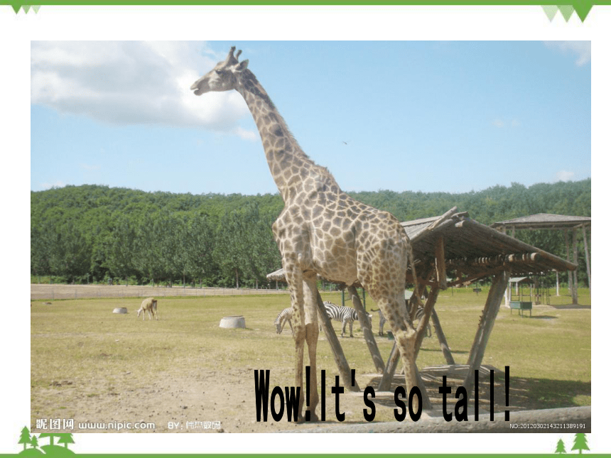 Unit 3 At the zoo Part A Let's talk &Draw and say 课件（27张PPT）
