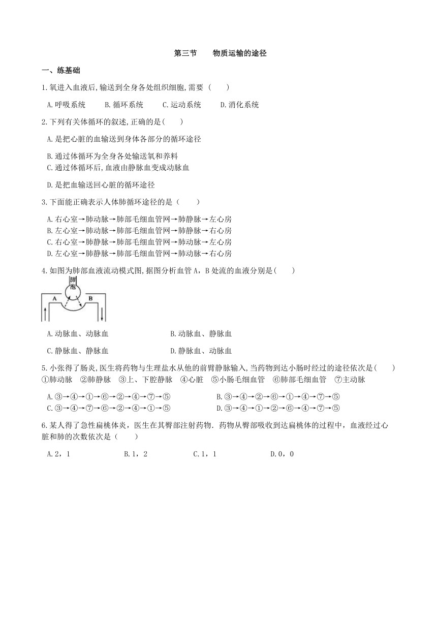 济南版生物七年级下册 3.3.3物质运输的途径 练习(word版 含答案)