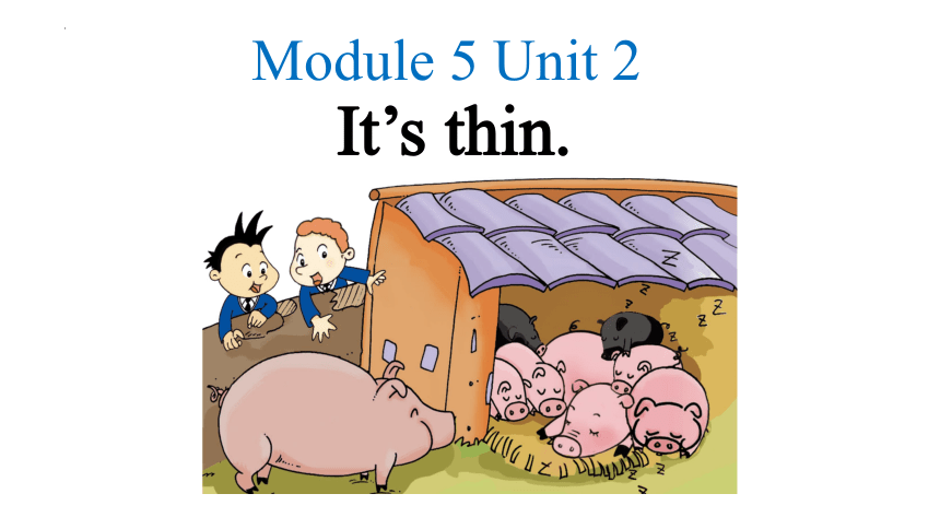 Module 5 Unit 2 It’s thin 课件(共37张PPT)