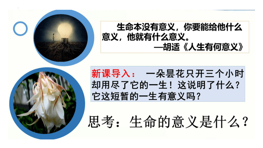 10.1 感受生命的意义 课件(共21张PPT)-2023-2024学年统编版道德与法治七年级上册