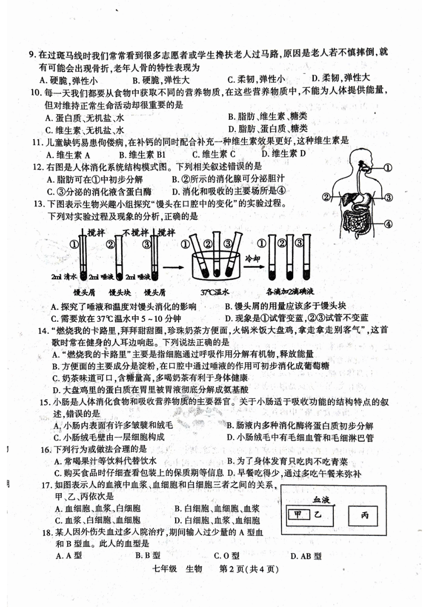河南省洛阳市伊川县2022-2023学年七年级下学期期中生物试题（pdf版无答案）