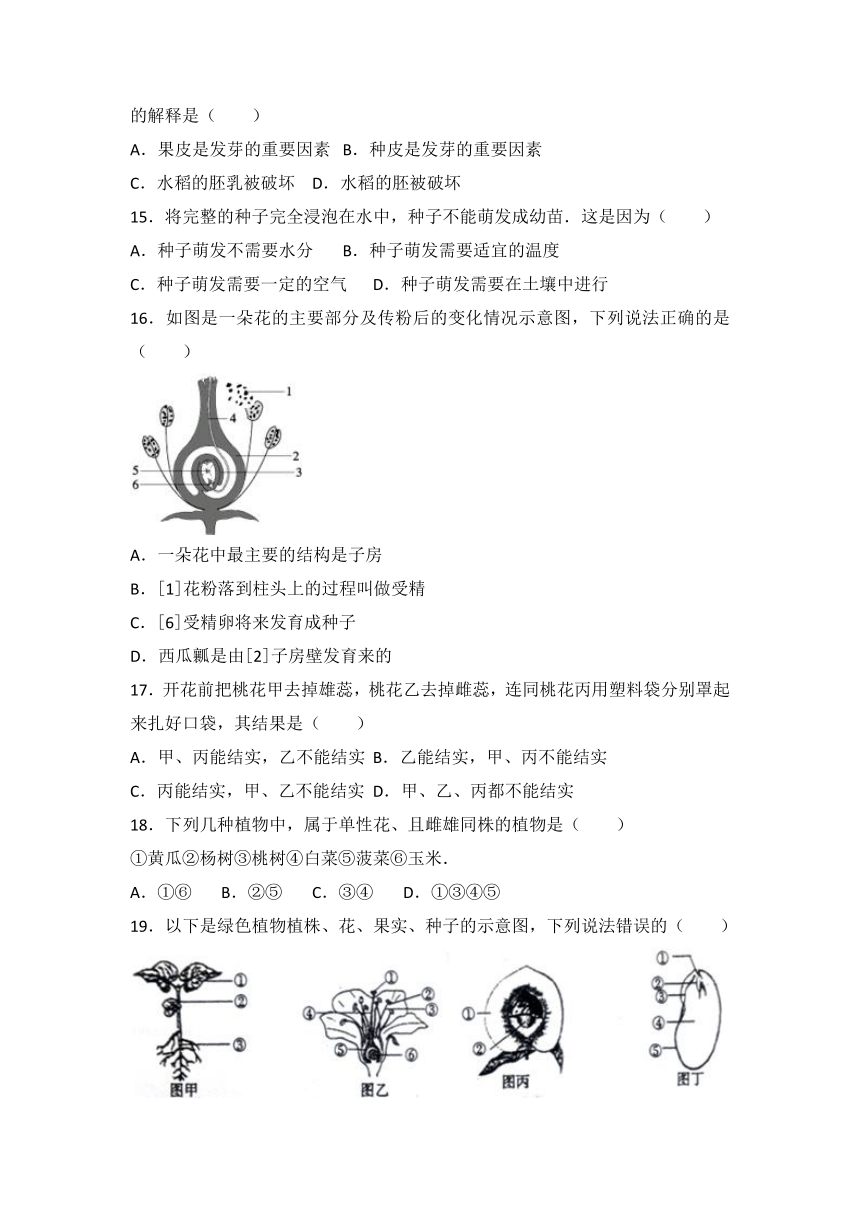 第三单元生物圈中的绿色植物检测题 2022-2023学年人教版生物七年级上册(含答案)