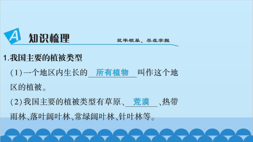 人教版生物七年级上册第六章爱护植被,绿化祖国习题课件(共20张PPT)