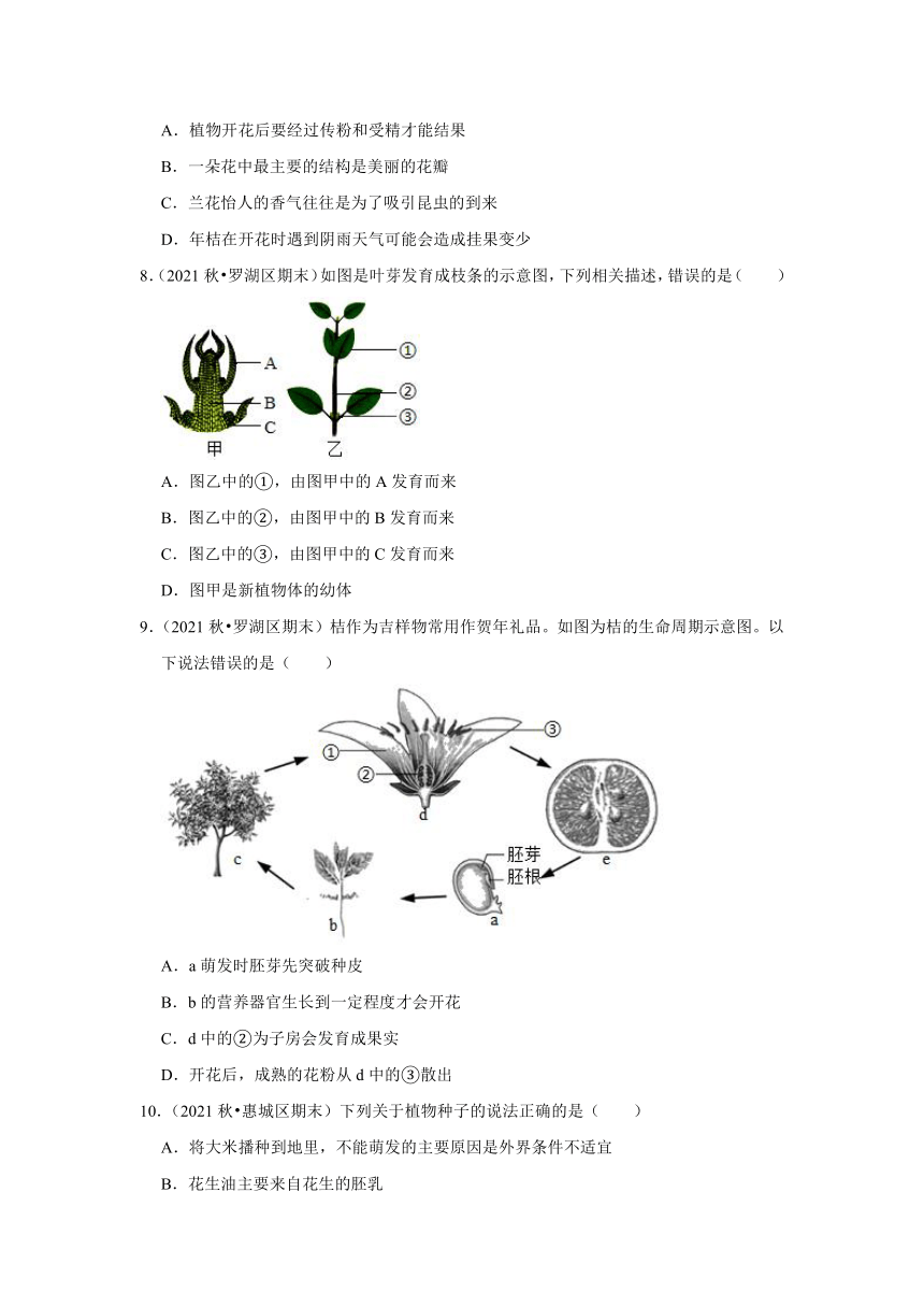 2022年广东省中考生物复习专练：专题6植物的一生（word版，含解析）