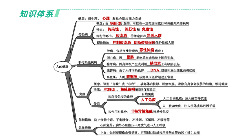 2022年浙江省中考科学一轮复习 第11课时　人、健康和环境（课件 30张PPT）