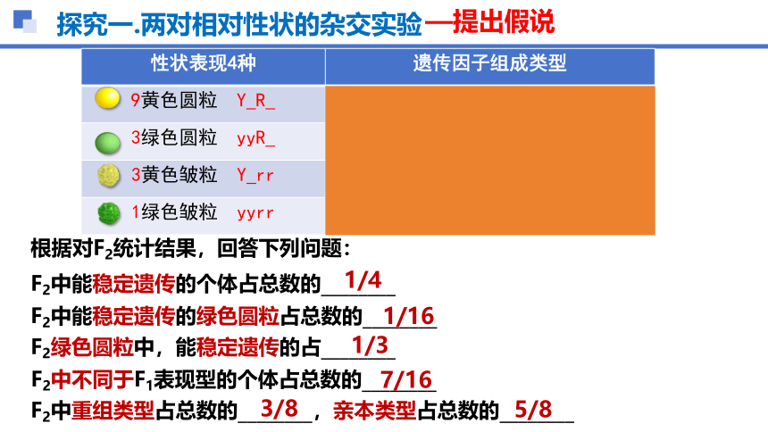 生物人教版（2019）必修二1.2孟德尔的豌豆杂交实验（二）（共37张ppt）课件