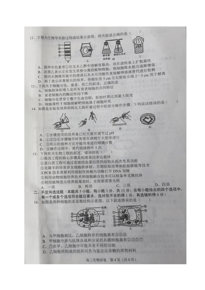 辽宁省沈阳市郊联体2020-2021学年高二下学期期末考试生物试题 扫描版含答案