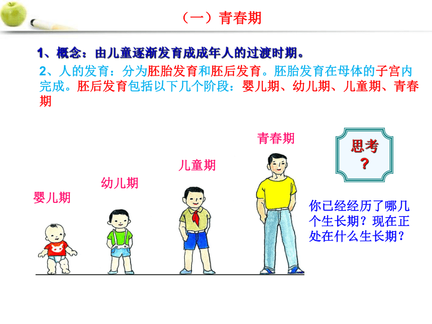 第三章第二节青春期发育课件(共25张PPT)2021--2022学年济南版生物八年级上册