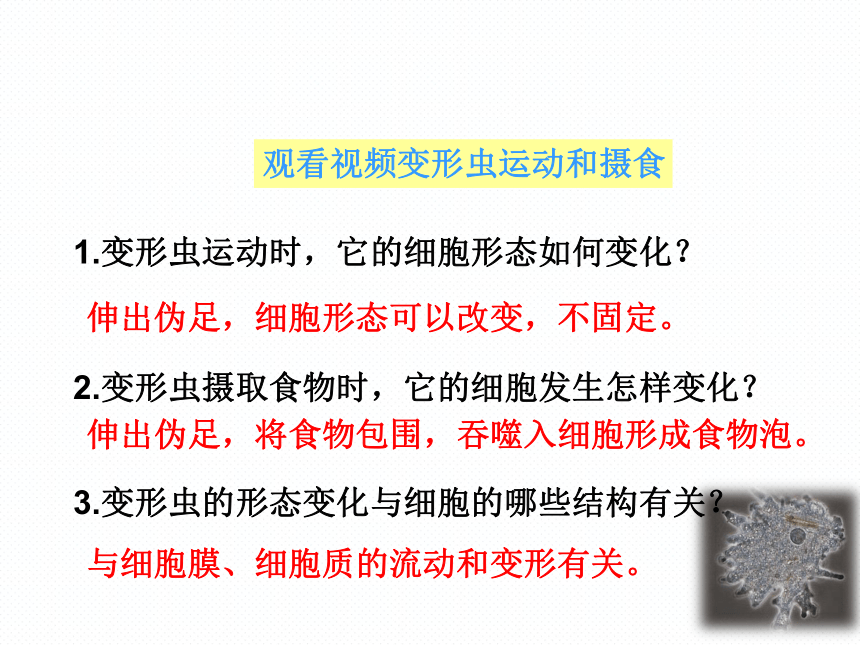 2021-2022学年北师大版七年级生物上册3.2 细胞是生命活动的单位课件(共27张PPT)