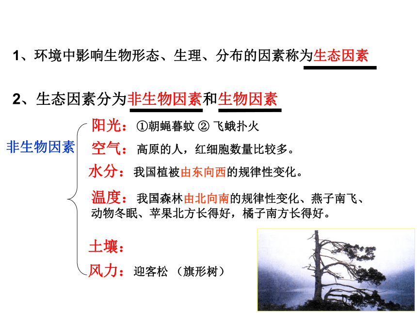 北师大版八年级下册23.1生物的生存依赖一定的环境课件(共19张PPT)