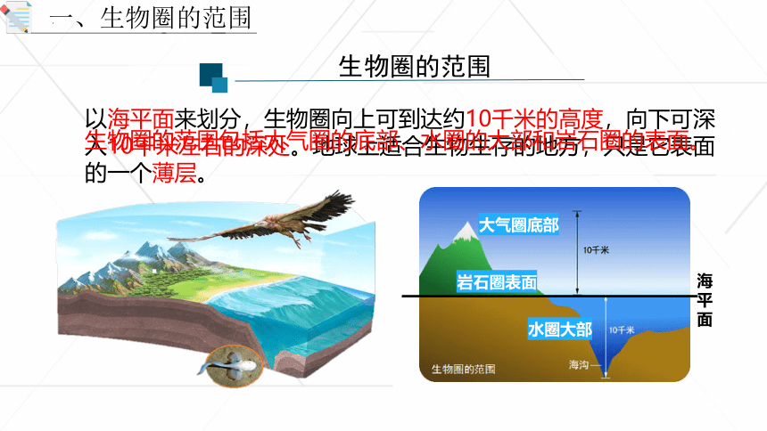 1.2.3 生物圈是最大的生态系统课件(共27张PPT) 2022-2023学年人教版生物七年级上册