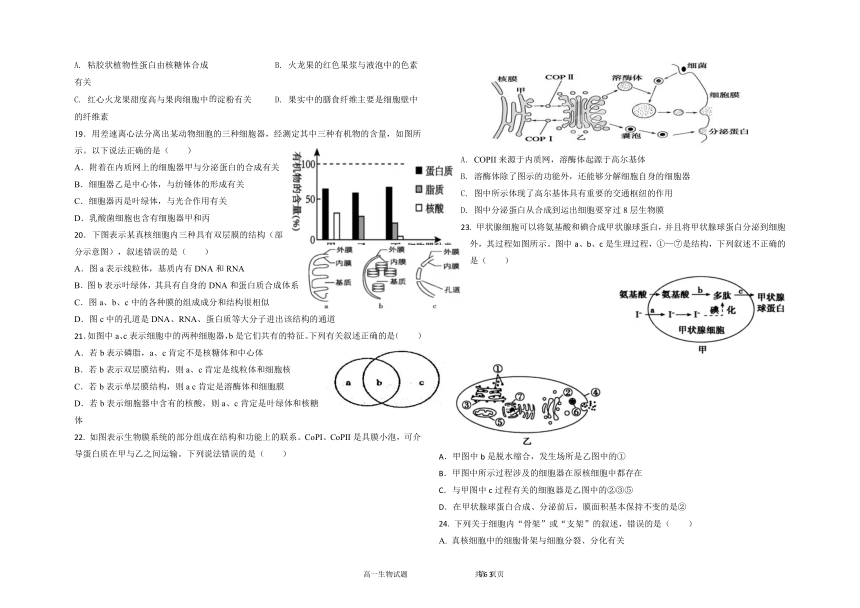 内蒙古自治区霍林郭勒市2021-2022学年高一上学期12月月考生物试题（Word版含答案）