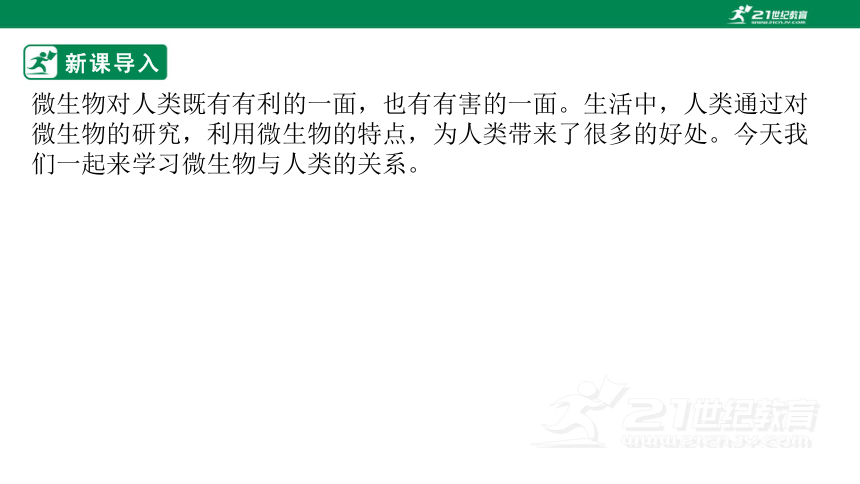 北师大版5.18.2 微生物与人类的关系-2022-2023学年八年级生物上册同步课件(共36张PPT)