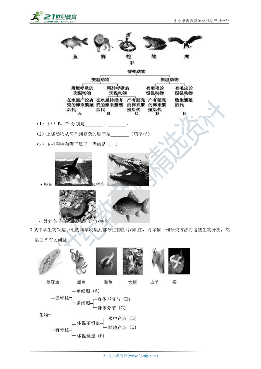 【重难点突破】浙教版7年级上册科学 第7讲 常见的动物（含答案）