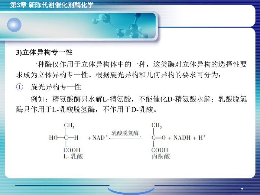 3.1酶的概述 课件(共27张PPT)- 《环境生物化学》同步教学（机工版·2020）