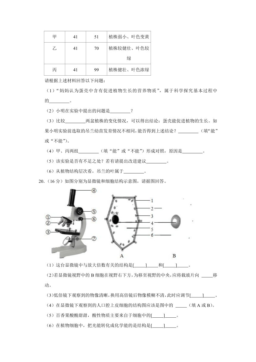 2021-2022学年山东省枣庄市山亭区七年级（上）期中生物试卷（word版含解析）