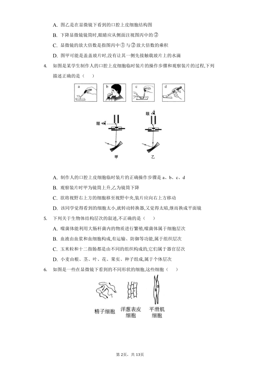 2022-2023学年人教版生物七年级上册单元检测-第二单元　生物体的结构层次(word版含答案）