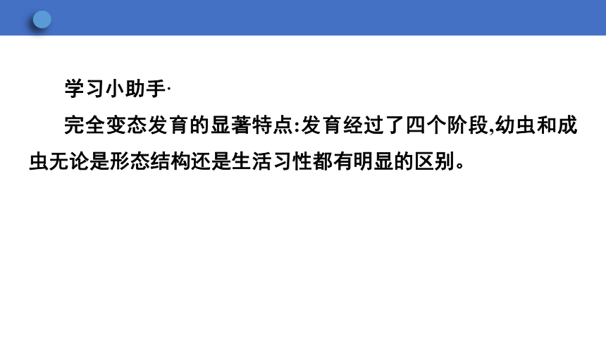 6.1.2 动物的生殖和发育 第1课时课件(共24张PPT)2023-2024学年初中生物冀少版八年级下册