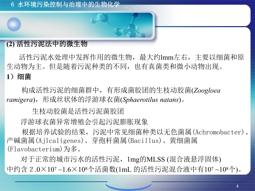 6.1污、废水生物控制与治理生物化学 课件(共38张PPT)- 《环境生物化学》同步教学（机工版·2020）