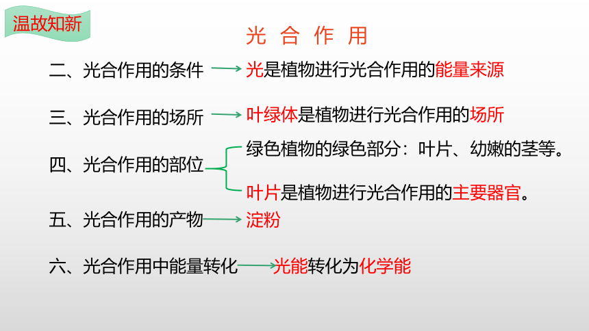 2022-2023学年七年级生物上学期3.5.1 光合作用吸收二氧化碳释放氧气-同步优质课件(共22张PPT)