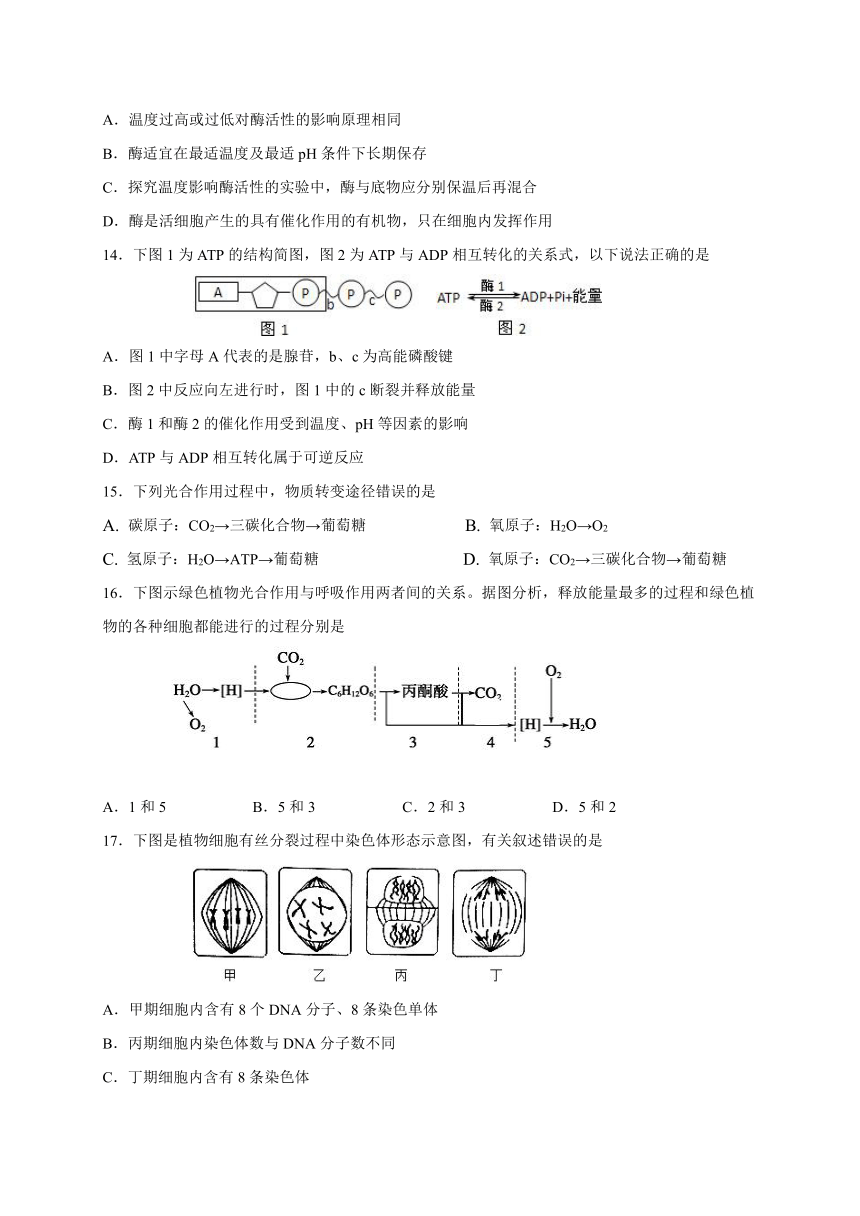 2020-2021学年高一上学期生物（苏教版（2019）必修第一册）期末考试试卷