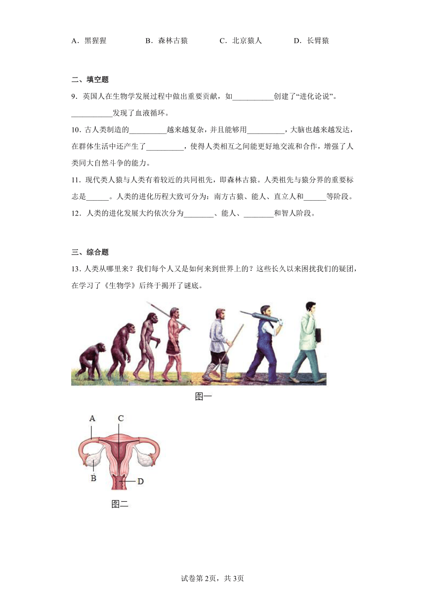 济南版八年级下册生物 第五单元 第二章 人类的起源和进化 单元练习（含答案）
