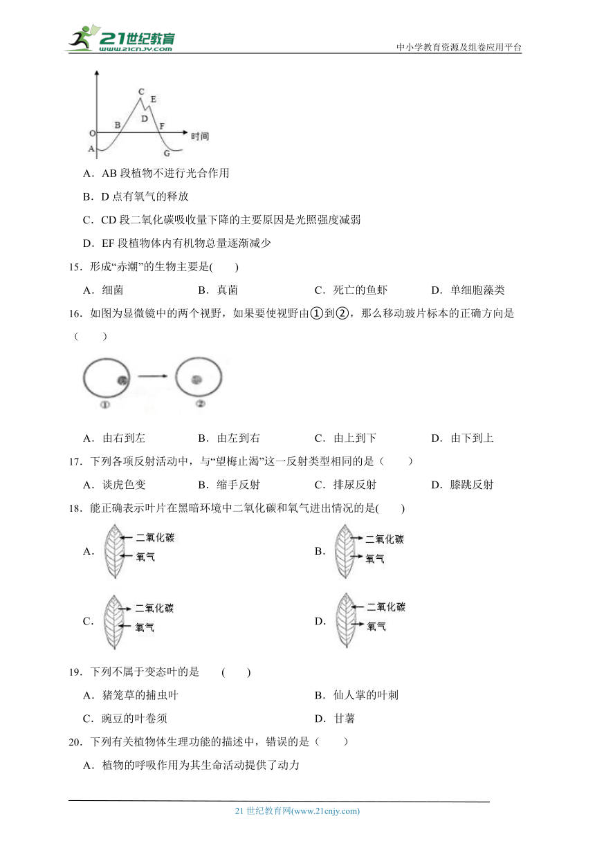 2023年初中生物中考常错点巩固检测题2（含解析）