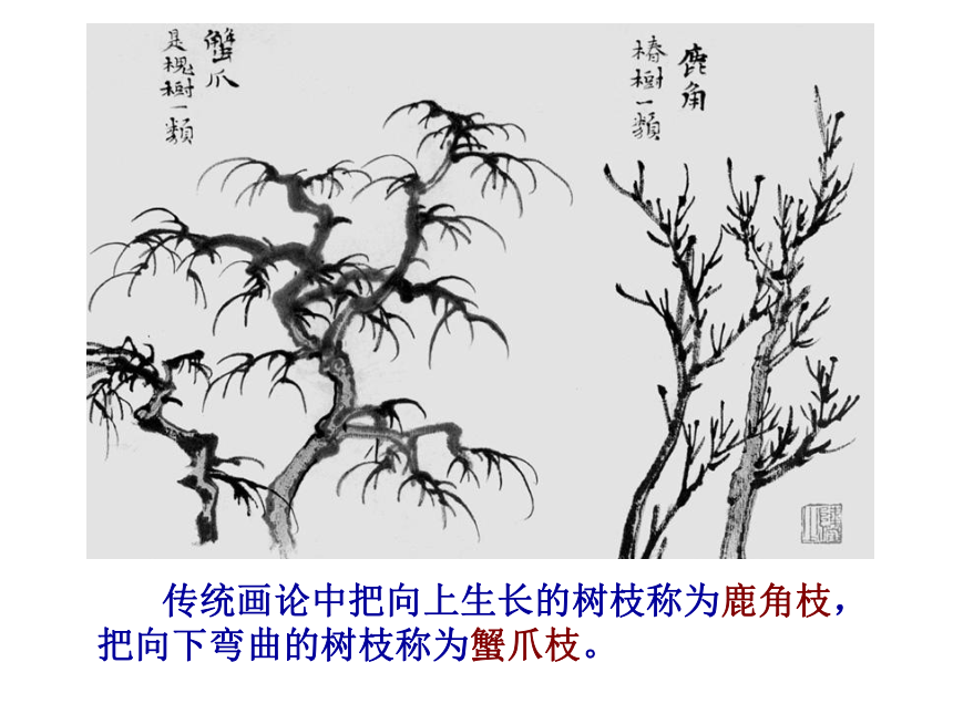 中国画——树的画法（课件）人美版（北京）（2013）美术五年级下册(共18张PPT)