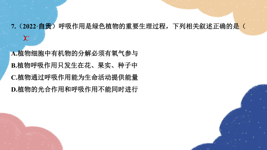 2023年中考生物复习 专题6　植物的生理作用课件(共15张PPT)