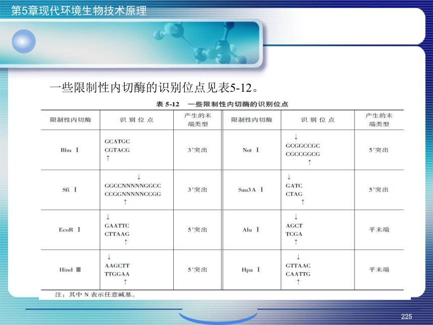 5.现代环境生物技术原理_8 课件(共25张PPT）- 《环境生物化学》同步教学（机工版·2020）