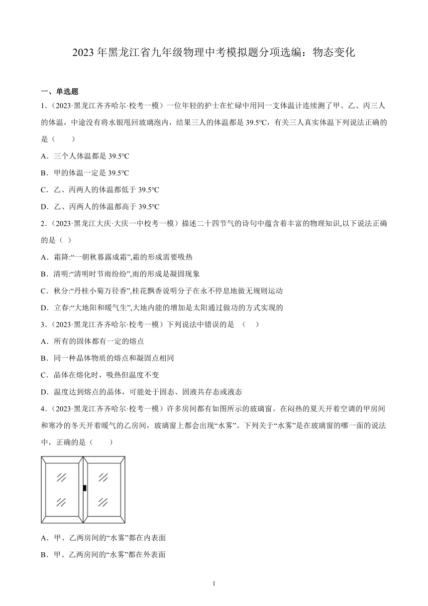 2023年黑龙江省九年级物理中考模拟题分项选编：物态变化（含解析）