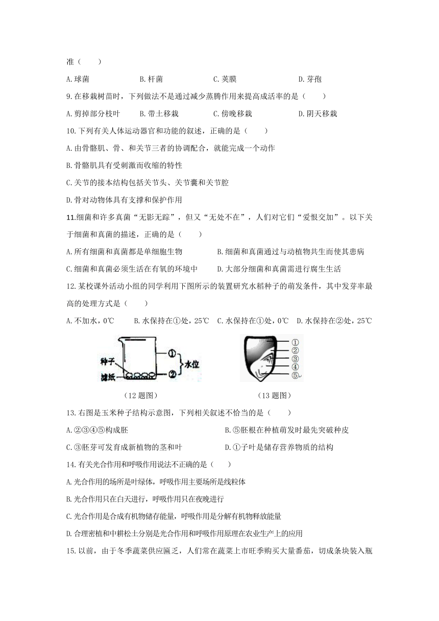 【期末复习】生物八年级上册  期末模拟卷（培优卷）（原卷+答案+答题纸）