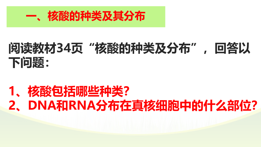 2021-2022学年高一上学期生物人教版必修一2.5核酸是遗传信息的携带者课件（共36张PPT）