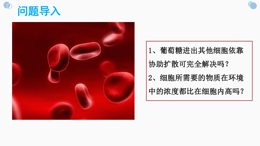 4.2主动运输与胞吞、胞吐（1.5课时）(课件共19张PPT)